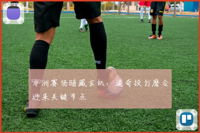 非洲赛场暗藏玄机，道奇投打磨合迎来关键节点