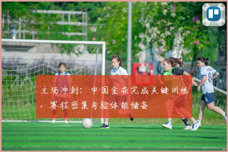 主场冲刺：中国金花完成关键训练，赛程密集考验体能储备