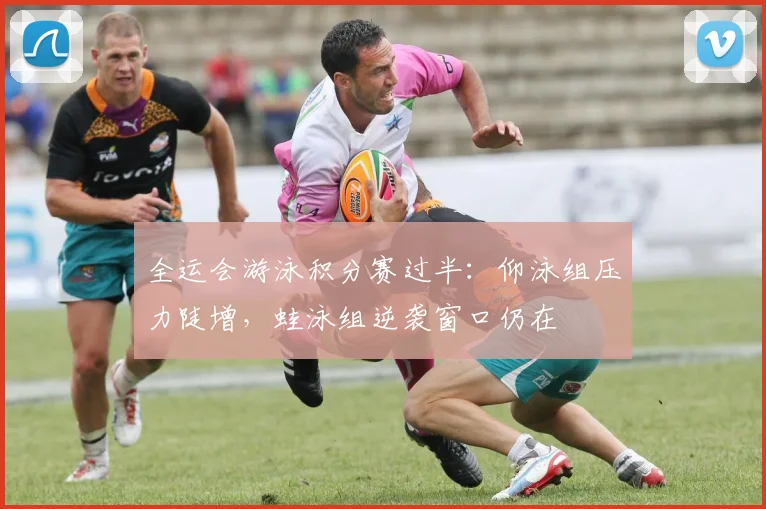 全运会游泳积分赛过半：仰泳组压力陡增，蛙泳组逆袭窗口仍在